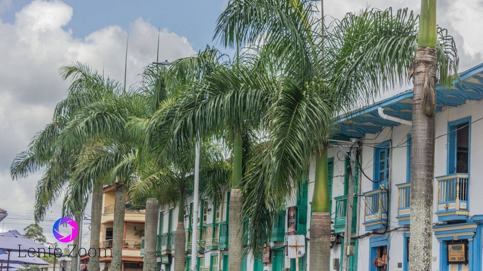 Vista de palmeras y casa tipicas de diferentes colores