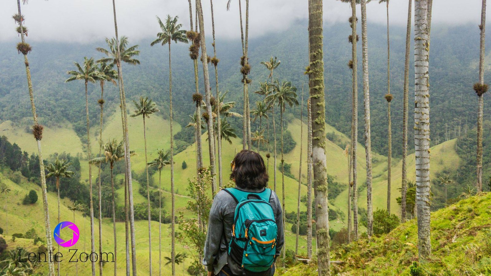 Una mujer mirando hacia el frente donde se hayan muchas palmeras. Una de las mejores Fotos de Salento, Quindío en el Valle de Cocora